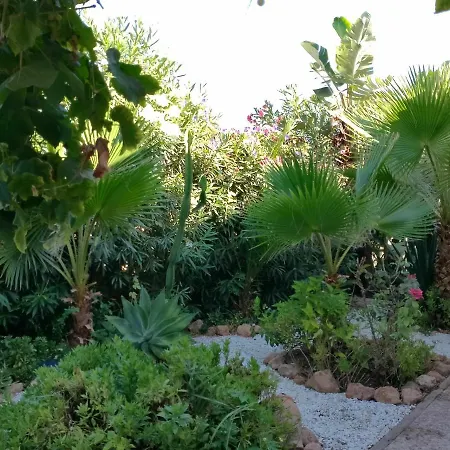 Solanas 1 * Torrevieja