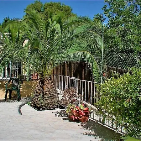 Solanas 1