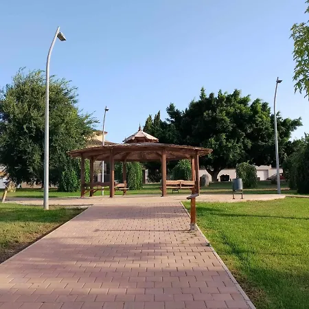 Solanas 1 *