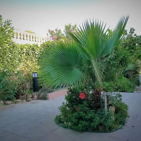Apartment Solanas 1 Torrevieja